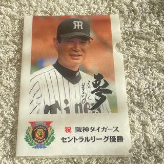 星野仙一監督　阪神タイガース　クリアファイル(記念品/関連グッズ)