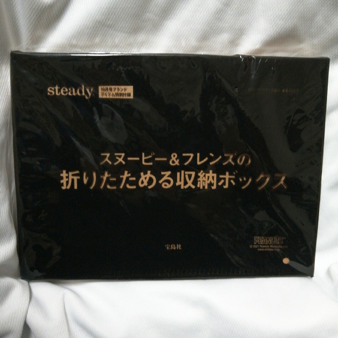 宝島社(タカラジマシャ)のsteadyふろく♪スヌーピー&フレンズの折り畳める収納BOX インテリア/住まい/日用品の収納家具(ケース/ボックス)の商品写真