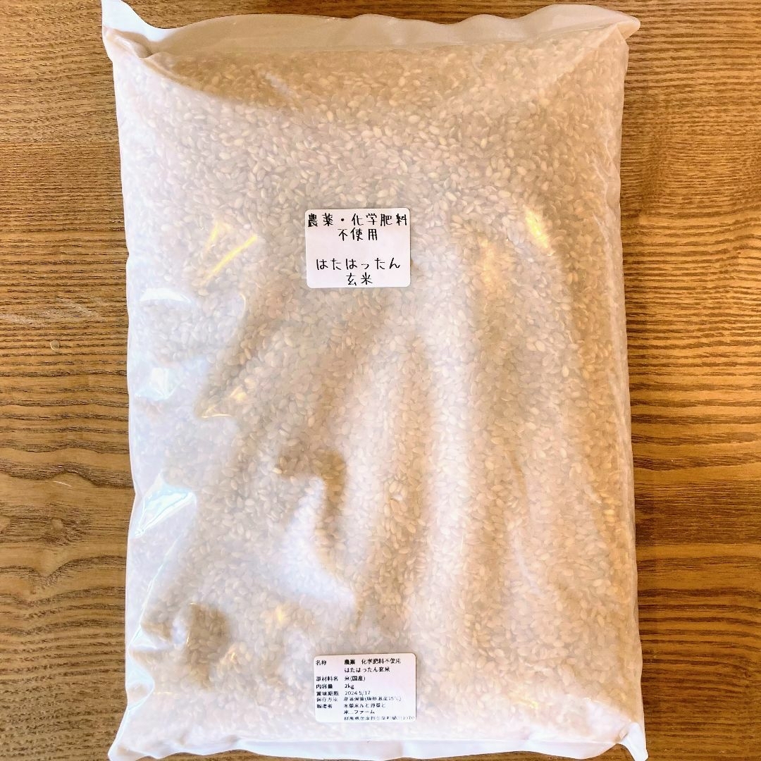 農薬・化学肥料不使用 「はたはったん」R5年産　玄米2kg 群馬県産 食品/飲料/酒の食品(米/穀物)の商品写真