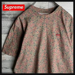 シュプリーム(Supreme)の【美品　人気Lサイズ】シュプリーム☆総柄入りスモールボックスロゴ入りTシャツ(その他)