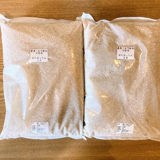 自然からの贈り物 農薬・化学肥料不使用 「はたはったん」R5年産玄米2kg×2袋(米/穀物)