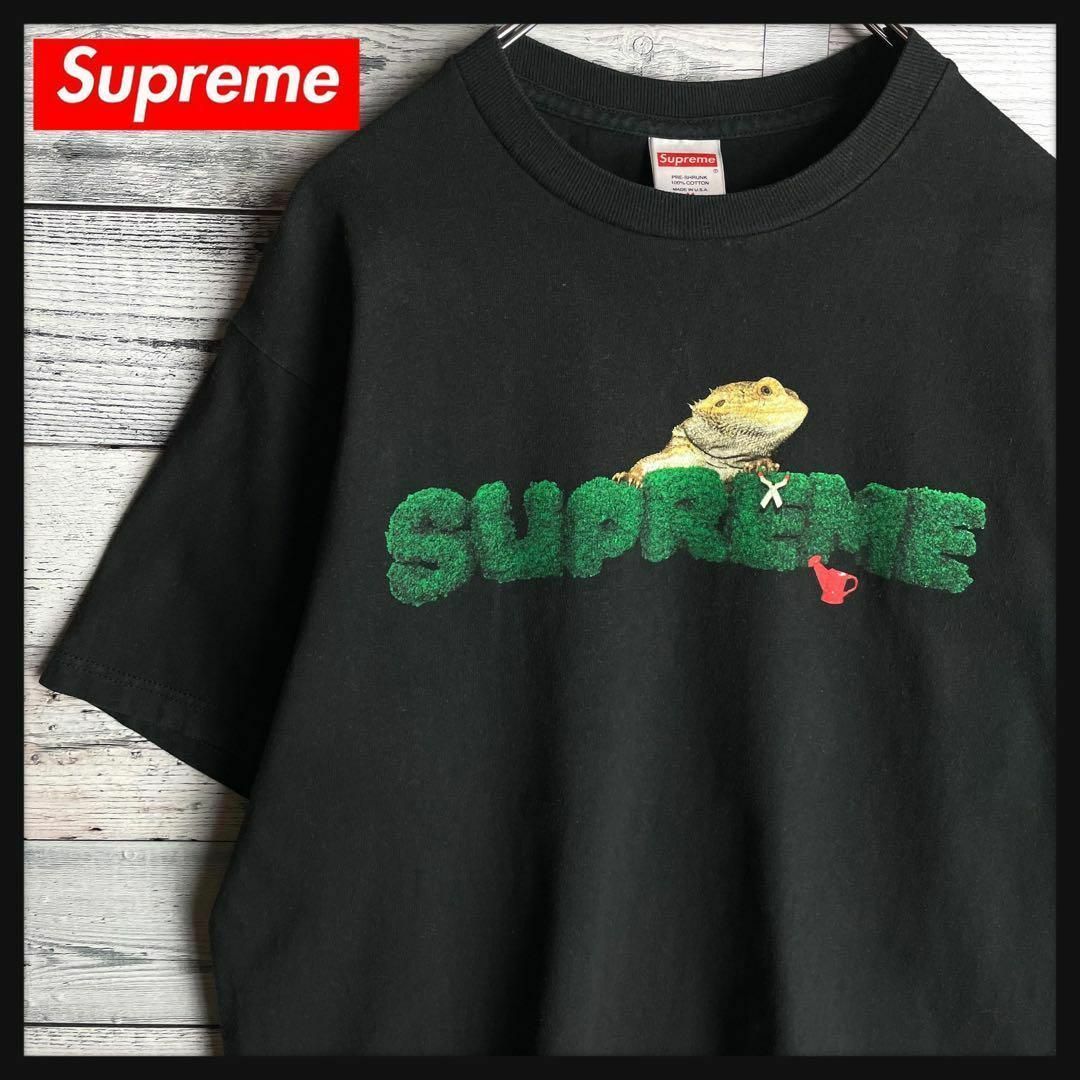 Supreme(シュプリーム)の【希少デザイン】シュプリーム☆即完売モデル入手困難Tシャツ　定番カラー その他のその他(その他)の商品写真