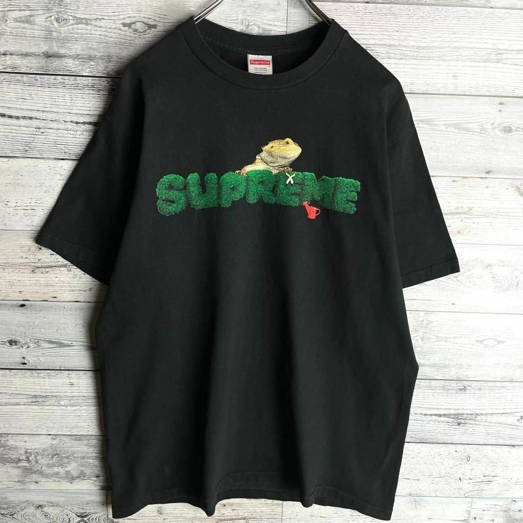 Supreme(シュプリーム)の【希少デザイン】シュプリーム☆即完売モデル入手困難Tシャツ　定番カラー その他のその他(その他)の商品写真