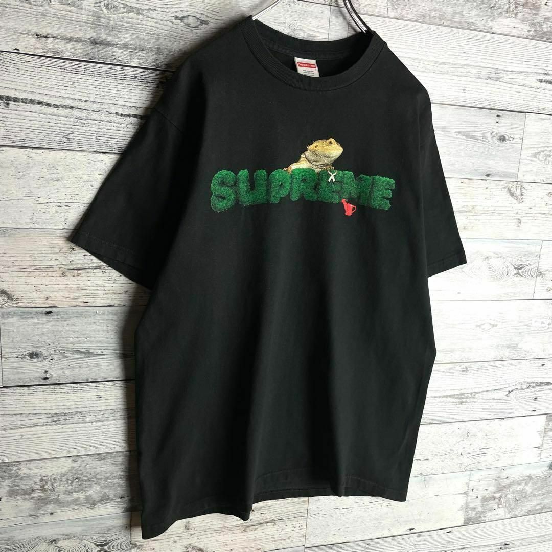 Supreme(シュプリーム)の【希少デザイン】シュプリーム☆即完売モデル入手困難Tシャツ　定番カラー その他のその他(その他)の商品写真