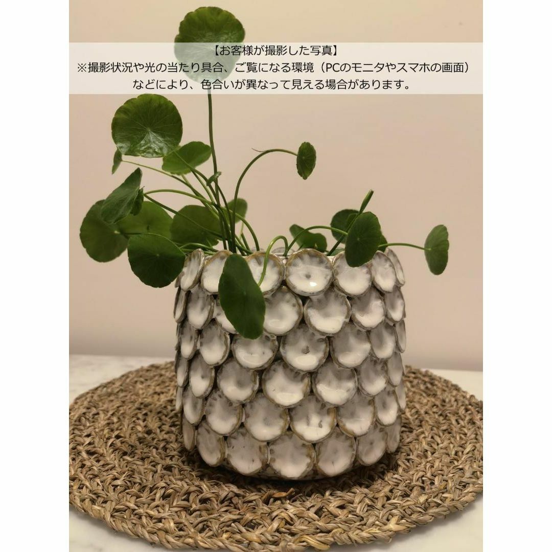 N0100【アメリカ】 6号 大 蓮 高級 立体 窯変 植木鉢 陶器鉢 N0100【アメリカ】 6号 大 蓮 高級 立体 窯変 植木鉢 陶器鉢