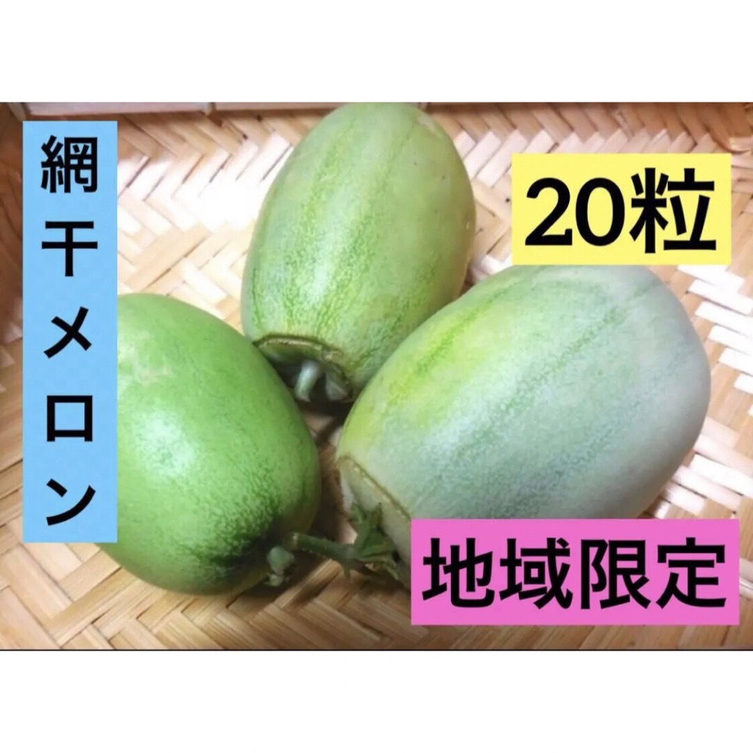 網干メロン マクワウリ 20粒  瓜　エスディージーズ 無農薬 無化学肥料 食品/飲料/酒の食品(フルーツ)の商品写真