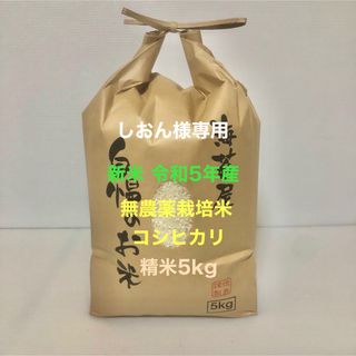 しおん様専用 無農薬コシヒカリ普通精米5kg 令和5年産(米/穀物)