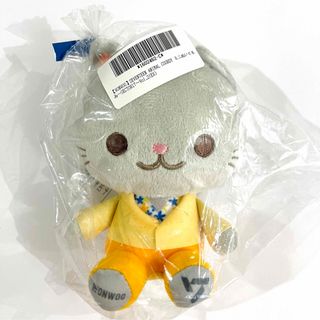 セブンティーン(SEVENTEEN)の【新品未開封】SEVENTEEN ミニぬいぐるみ　ウォヌ(ぬいぐるみ)