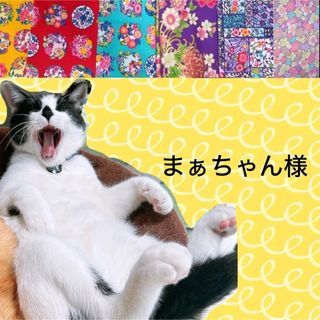 猫首輪  すいかリボン ＋セーフティバックル  ⑨-A1-1(リード/首輪)