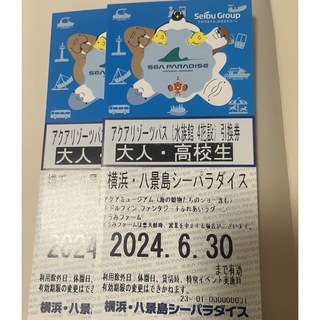 横浜・八景島シーパラダイス　チケット2枚(水族館)