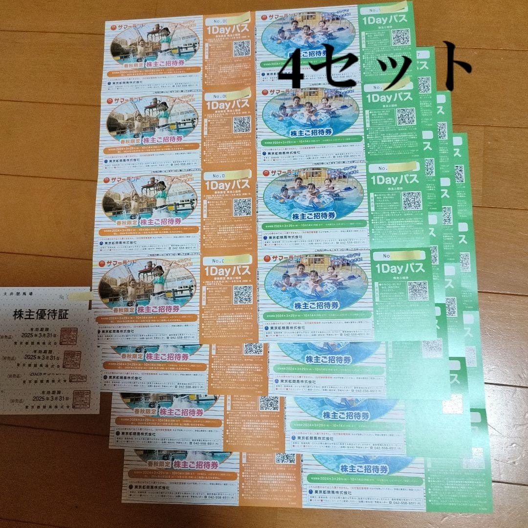 東京サマーランド 1Dayパス 株主ご招待券 4枚(東京サマーランド 東京サマーランド 1Dayパス 株主ご招待券 4枚(東京サマーランド