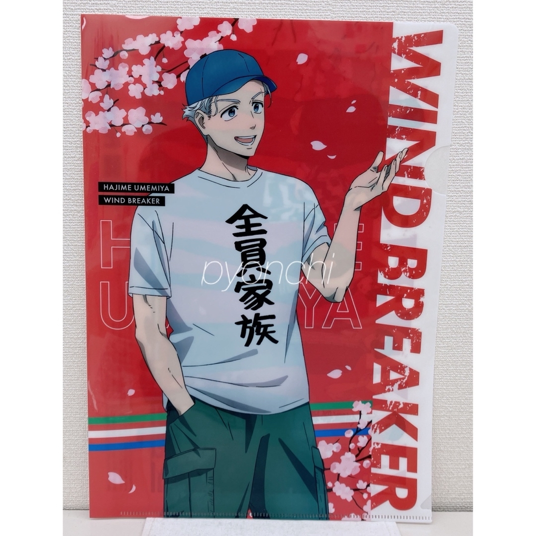 WIND BREAKER クリアファイル 5枚 エンタメ/ホビーのアニメグッズ(クリアファイル)の商品写真