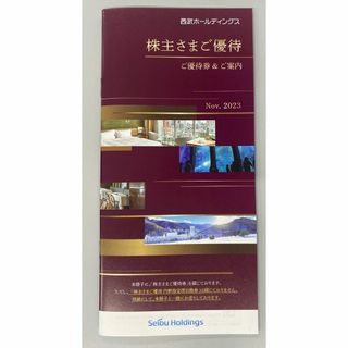 プリンス(Prince)の【送料無料】西武ホールディングス　西武HD 株主優待冊子　1000株以上1冊①　(その他)