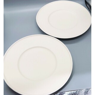 新品 照井壮 teruiso　デルフト皿　大 2枚　プレート　大皿(食器)