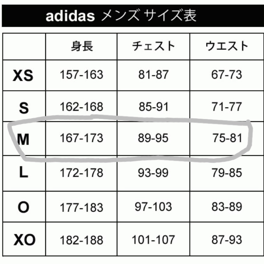 adidas(アディダス)のMサイズ　ブラック長袖シャツ メンズ　アディダスadidas ALPHASKIN スポーツ/アウトドアのゴルフ(ウエア)の商品写真