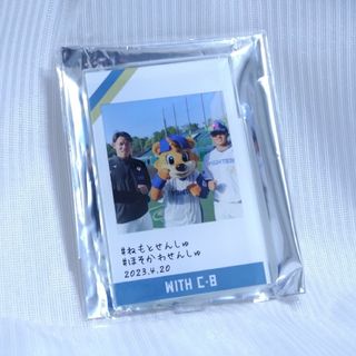 日本ハムファイターズ　鎌スタ　withC・B　アクリルスタンド　根本　細川(応援グッズ)