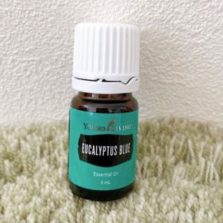doTERRA - doTERRA ドテラ アロマオイル25本+木箱セットまとめ売りの doTERRA - doTERRA ドテラ アロマオイル25本+木箱セットまとめ売りの