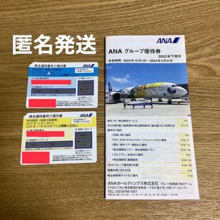 エーエヌエー(ゼンニッポンクウユ)(ANA(全日本空輸))のANA 株主優待券　2枚（有効期限2024年5月31日＆11月30日）(その他)