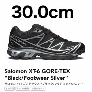 SALOMON - サロモン　XT-6 30センチ　新品