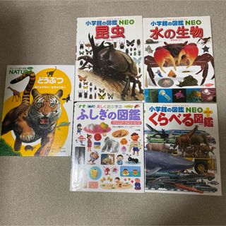 子ども図鑑5冊セット(絵本/児童書)