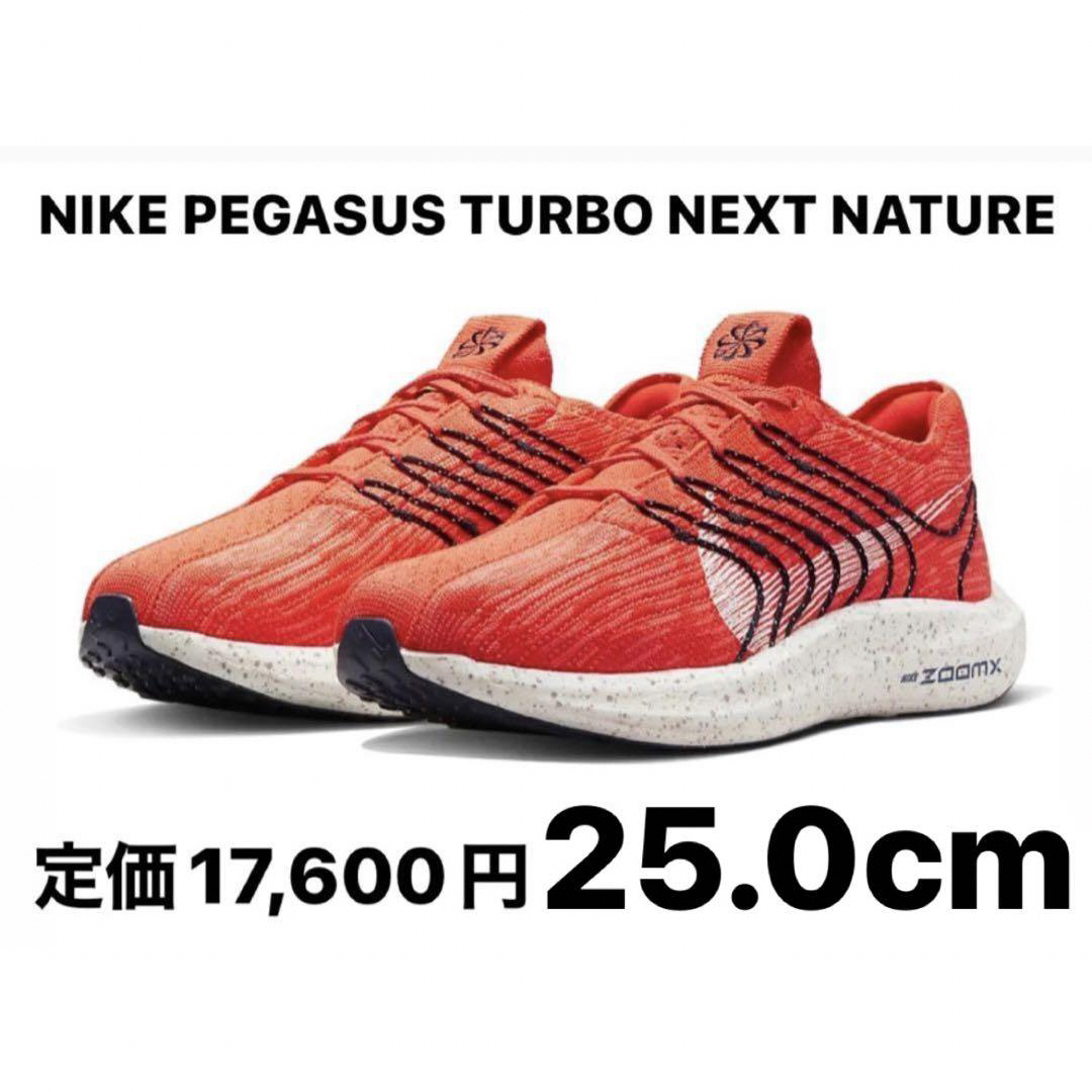 NIKE(ナイキ)の【新品】ナイキ ペガサス ターボ ネクスト ネイチャー 25.0cm スポーツ/アウトドアのランニング(シューズ)の商品写真