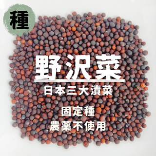 【種】野沢菜　無農薬　70粒(野菜)