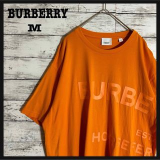 バーバリー(BURBERRY)の【入手困難】バーバリー☆人気総柄デザイン☆XL相当　ビッグサイズ(Tシャツ/カットソー(半袖/袖なし))