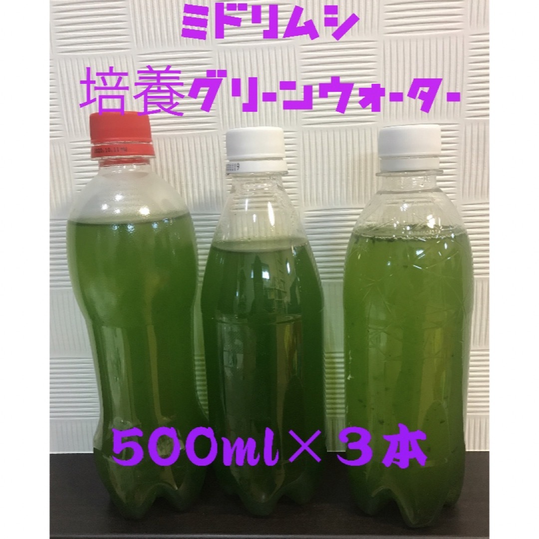 ミドリムシ  グリーンウォーター　500ml　 3本セット 種水  稚魚 エサ  その他のペット用品(アクアリウム)の商品写真