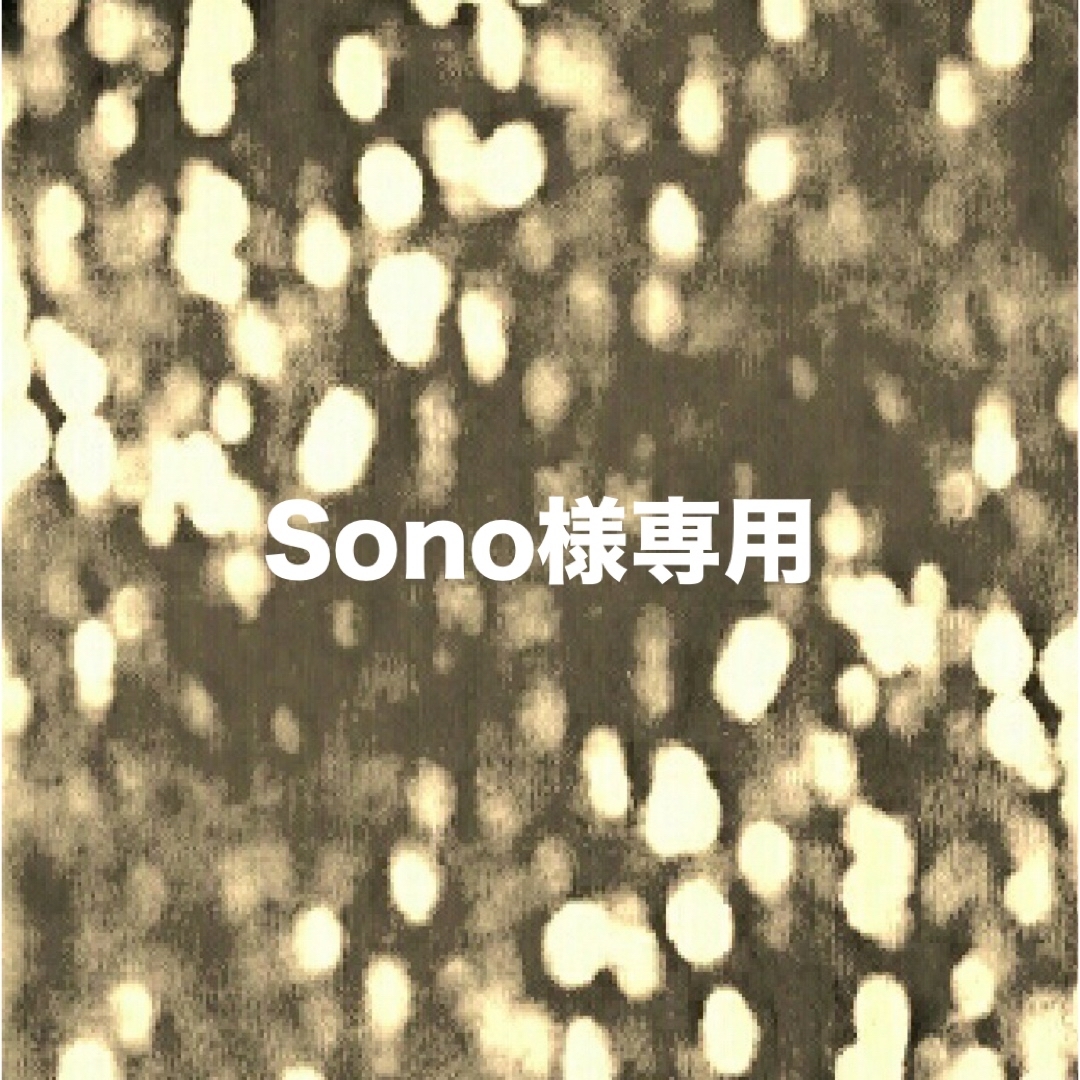 Sono様専用 エンタメ/ホビーのアニメグッズ(バッジ/ピンバッジ)の商品写真