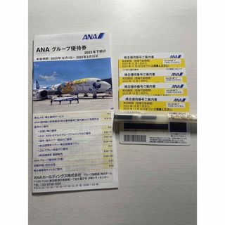 【即日配送】ANA 株主優待券2023.12.1～2024.11.30迄(航空券)