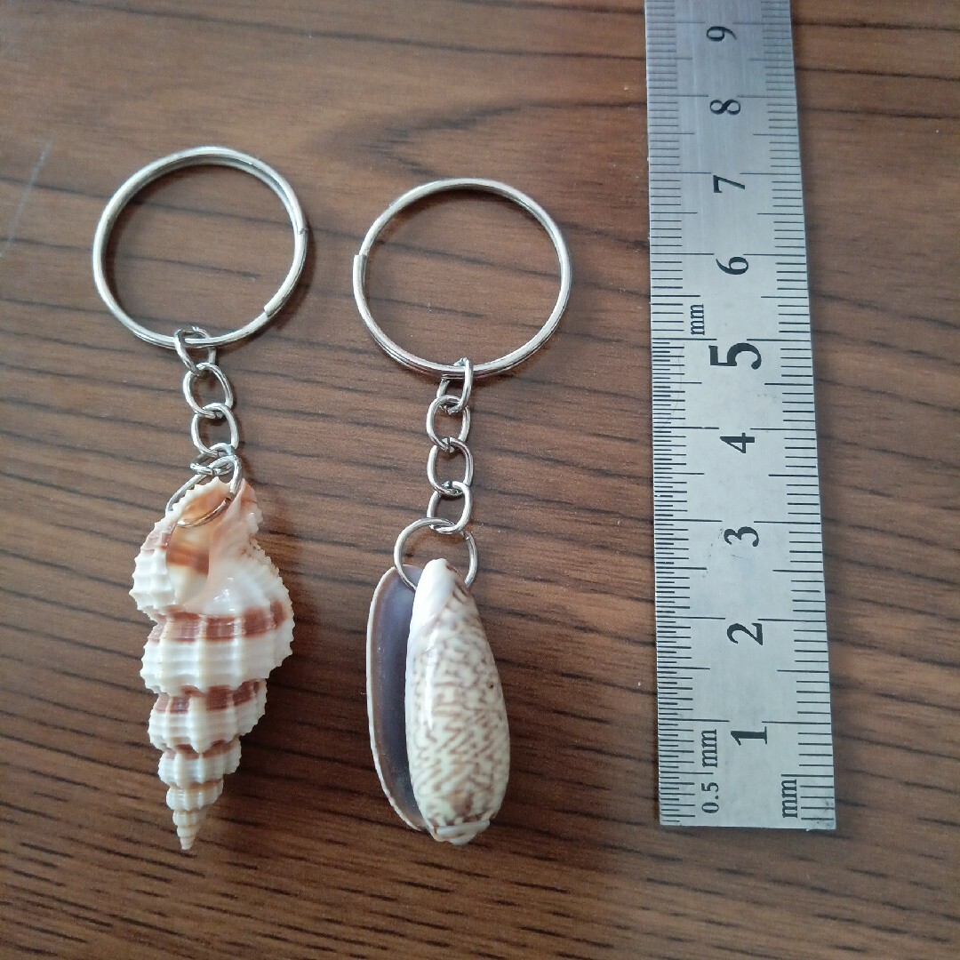 貝のキーホルダー　貝殻キーホルダー　2種類 メンズのファッション小物(キーホルダー)の商品写真