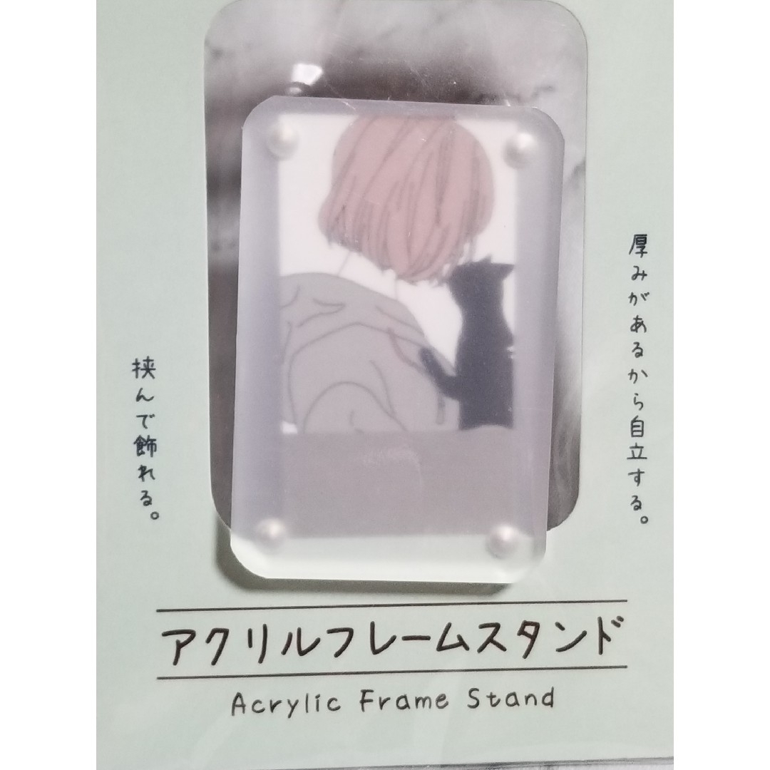 Seria(セリア)のアクリルフレームスタンド　12個セット　マグネット式 エンタメ/ホビーのおもちゃ/ぬいぐるみ(その他)の商品写真