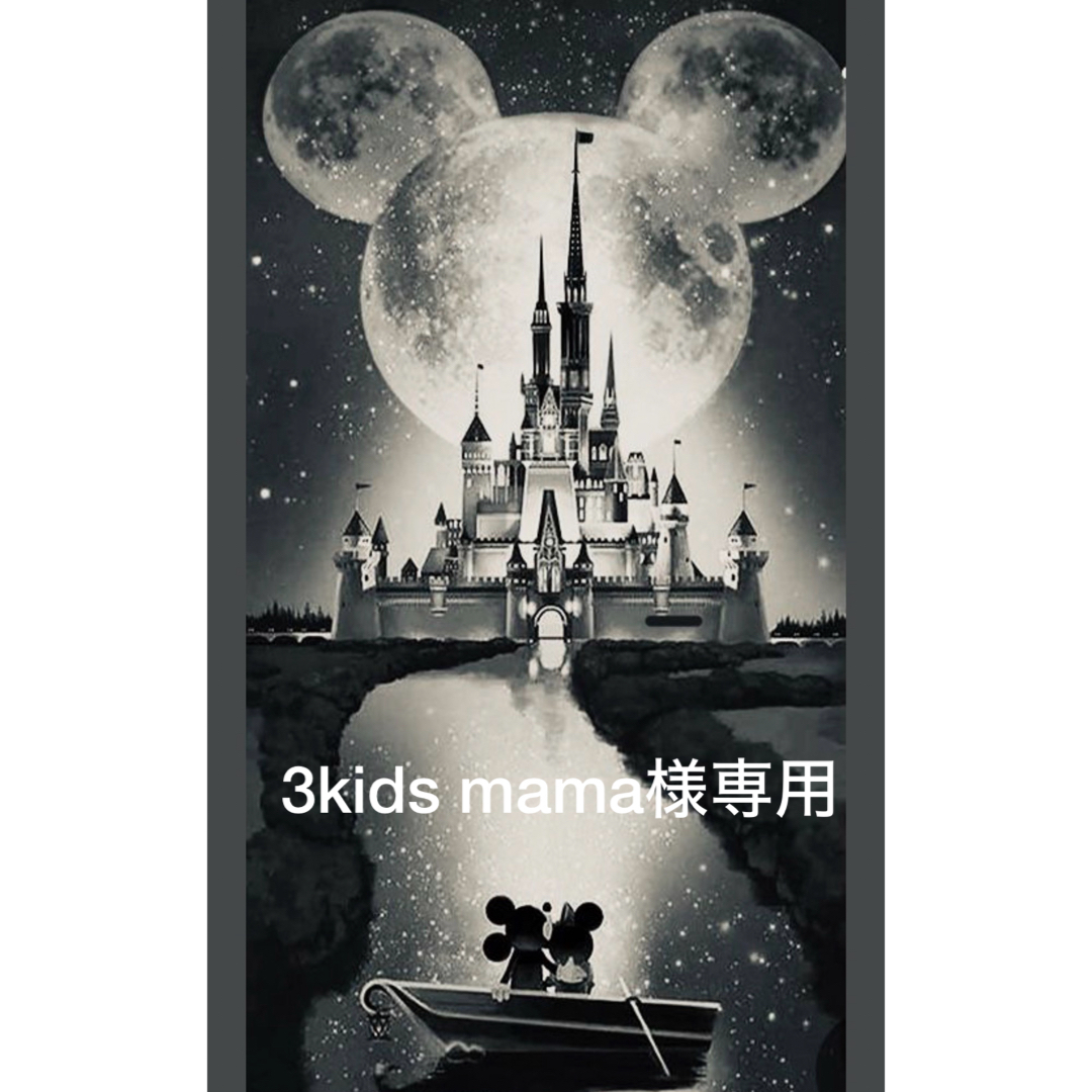 Disney(ディズニー)の3kids mama様専用 その他のその他(その他)の商品写真