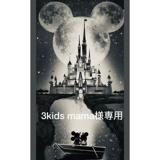 ディズニー(Disney)の3kids mama様専用(その他)