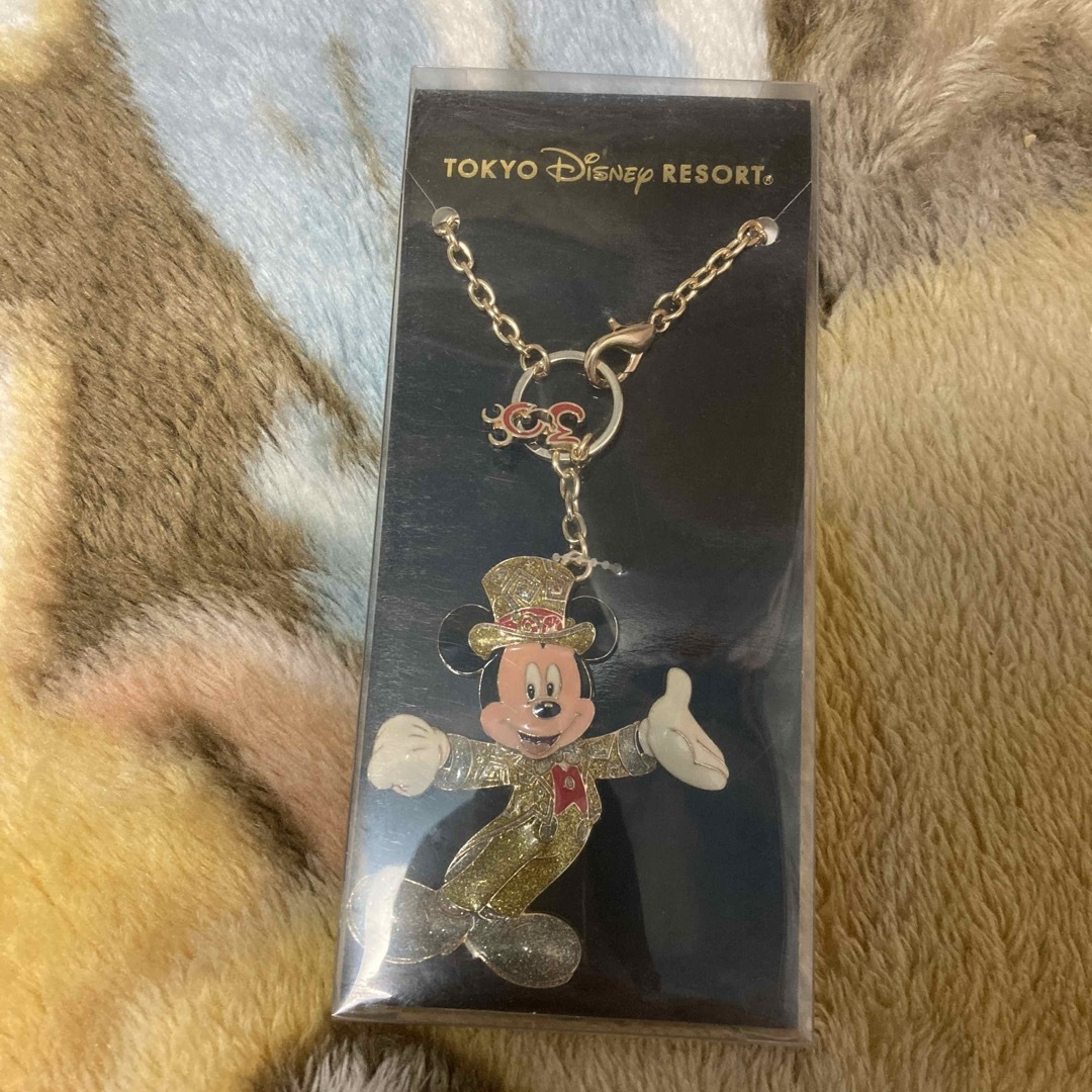 Disney(ディズニー)のディズニー　宿泊者限定バッグチャーム エンタメ/ホビーのおもちゃ/ぬいぐるみ(キャラクターグッズ)の商品写真