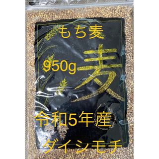 令和5年 岡山県産 ダイシモチ もち麦 950g チャック付き 美容  健康(米/穀物)