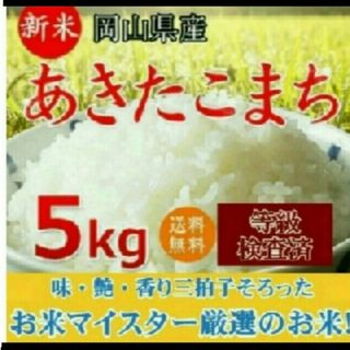 お米5kg(米/穀物)