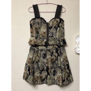 アクシーズファムポエティック(axes femme POETIQUE)のaxes femmeポエティック　猫ゴブラン　ビスチェ&ミニスカート② M 新品(ミニワンピース)