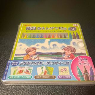 ペンテル(ぺんてる)の【新品】ぺんてる 小学校色鉛筆　15色(ペン/マーカー)