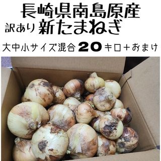 長崎県南島原産【新玉ねぎ】大中小混合20キロ＋おまけ　訳あり品(野菜)