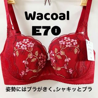 ワコール(Wacoal)のE70 ワコール　シャキッとブラ　姿勢にブラがきく(ブラ)