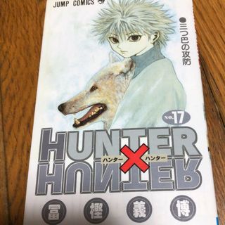 HUNTER×HUNTER 17(少年漫画)