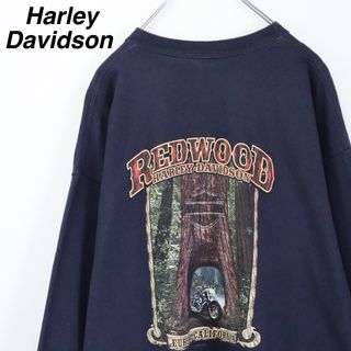 ハーレーダビッドソン(Harley Davidson)の【USA製】ハーレーダビッドソン／ロンT　XL　両面プリント　バックプリント　青(Tシャツ/カットソー(七分/長袖))