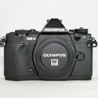 オリンパス(OLYMPUS)のOLYMPUS OM-D E-M5 Mark II body ＋ α(デジタル一眼)