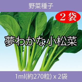 野菜種子 EAD 夢わかな小松菜 1ml(約270粒) x 2袋(野菜)