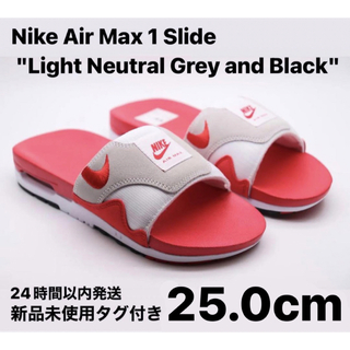 ナイキ(NIKE)のNIKE AIR MAX 1 SLIDE UNIVERSITY RED 25.0(サンダル)