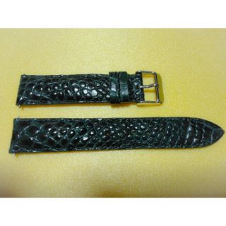 Crocodile - 【美品】 20mm クロコダイル 腕時計ベルト グリーン 本革 高級ベルト