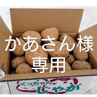 07　ご予約品(野菜)