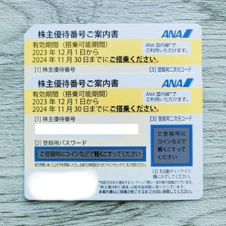 エーエヌエー(ゼンニッポンクウユ)(ANA(全日本空輸))のANA 株主優待 2枚 セット 株主優待券 全日空(その他)