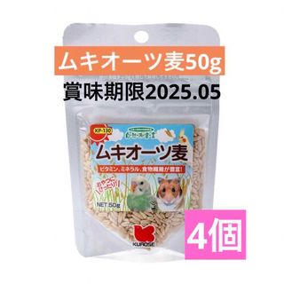 クロセペットフード(Kurose Pet Food)の黒瀬ペットフード　ムキオーツ麦4個 ハムスター　リス　中型インコ以上の小鳥(鳥)